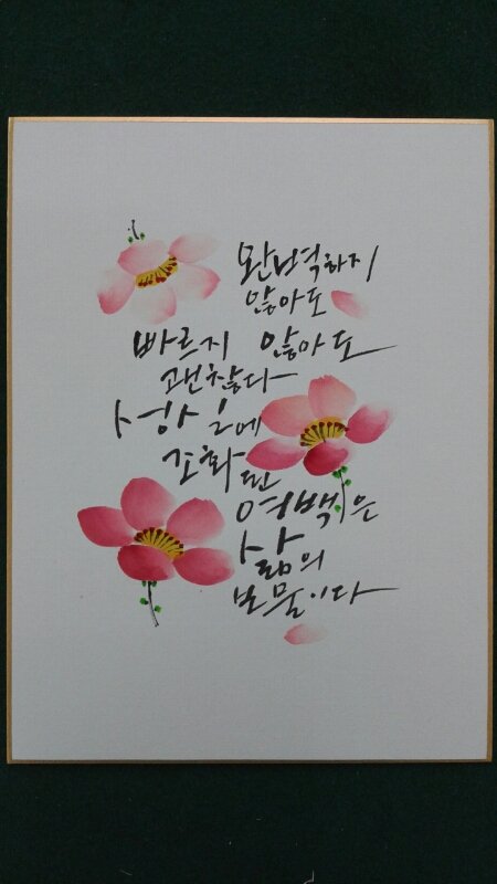 엽서