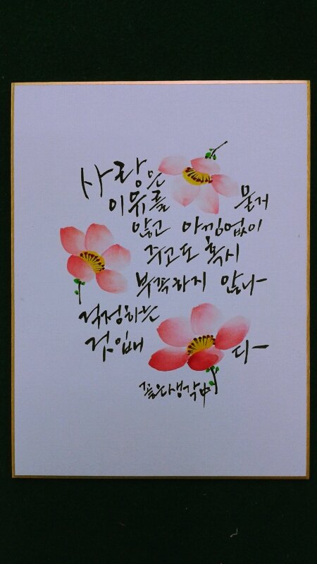 엽서