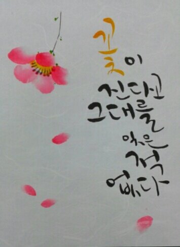 엽서