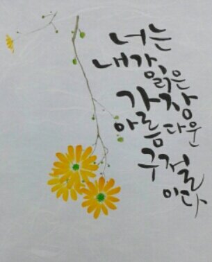 엽서