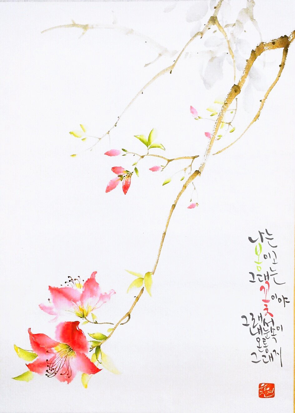 엽서